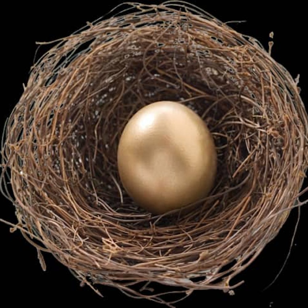 oeuf-securite-kedj-securite.ci